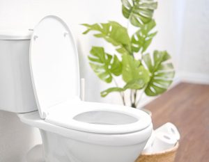 Why You Need to Fix a Running Toilet
