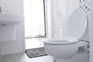 Three Clogged Toilet Solutions to Try