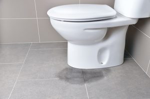 A Sneaky Leaky Toilet: Identifying Hidden Problems